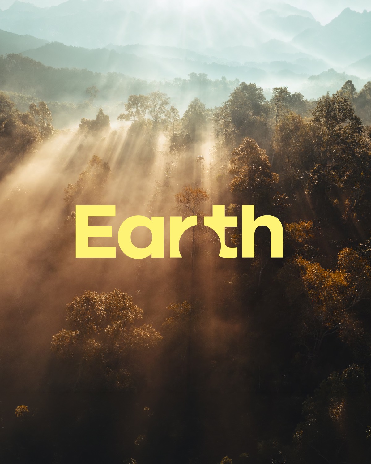 Nebelverhangener Wald im Gegenlicht mit der gelben Wortmarke Earth